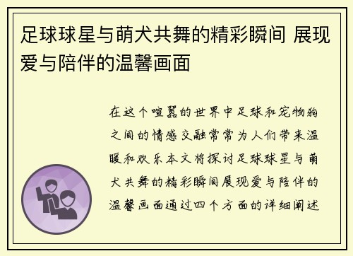 足球球星与萌犬共舞的精彩瞬间 展现爱与陪伴的温馨画面